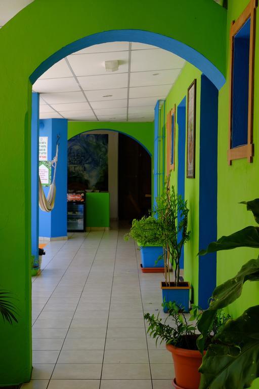 Hostal Casa Verde Santa Ana Bagian luar foto